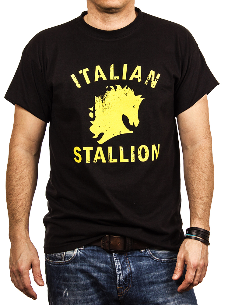 Herren T-Shirt - Italian Stallion Geschenke für Boxer